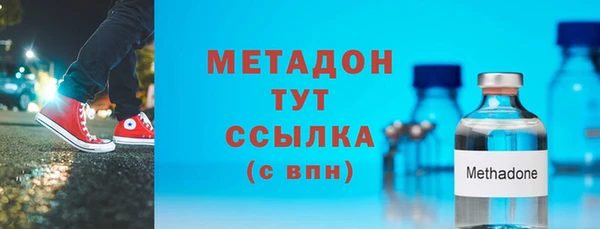 индика Няндома