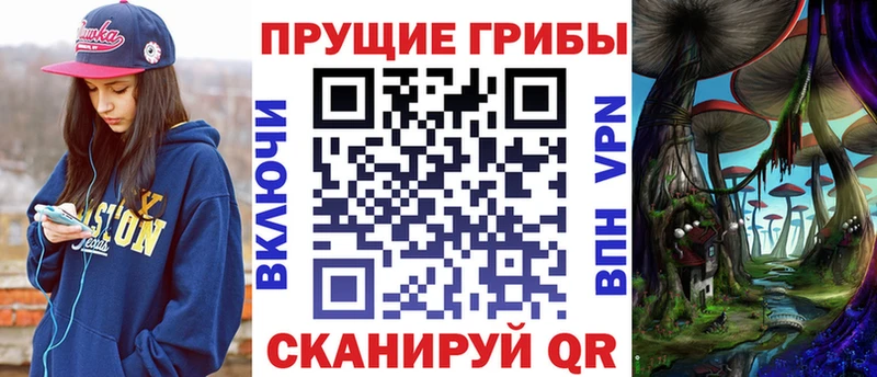 Псилоцибиновые грибы мицелий  Алексеевка 