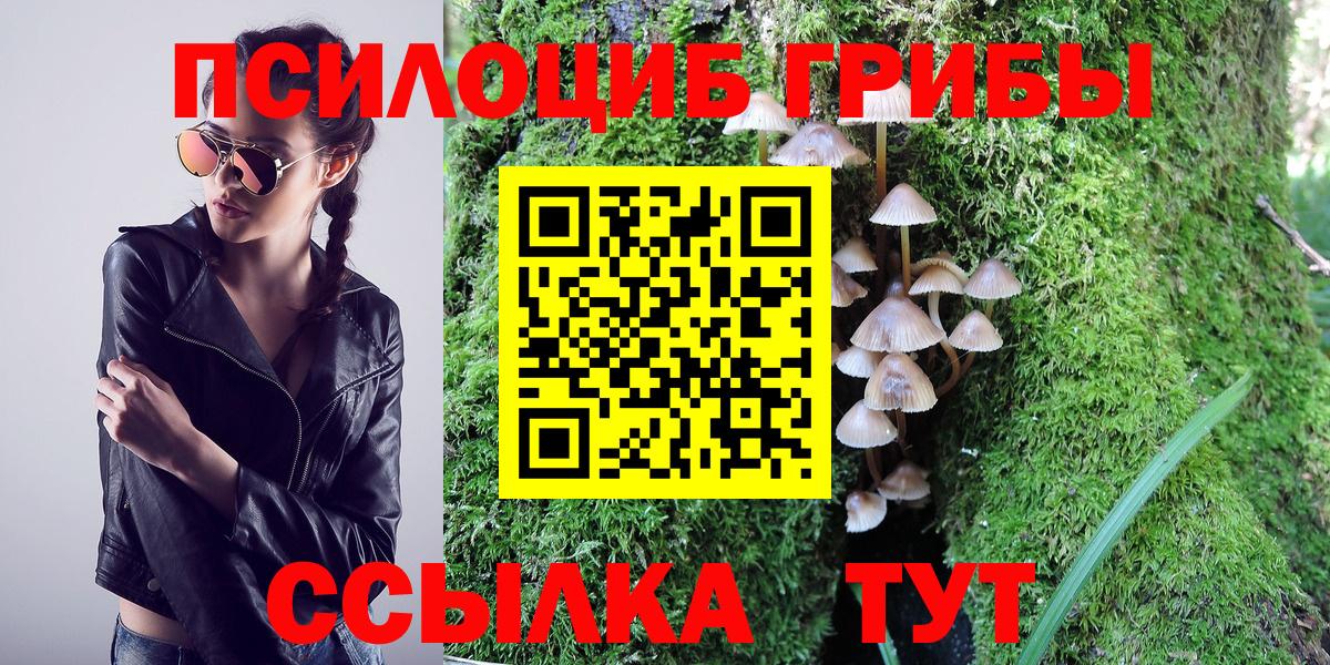 Псилоцибиновые грибы Psilocybe Алексеевка