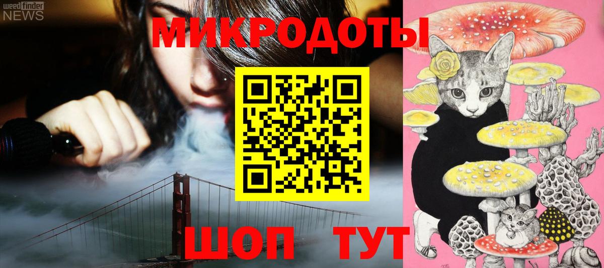 Псилоцибиновые грибы Psilocybe Алексеевка