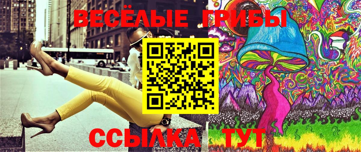 Галлюциногенные грибы GOLDEN TEACHER  Вход с VPN  купить наркотик  Алексеевка  Галлюциногенные грибы Cubensis 